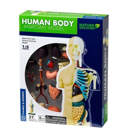 THAMES & KOSMOS, анатомия на човешкото тяло