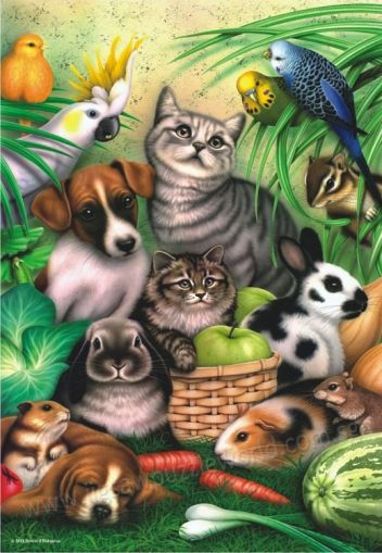 anatolian, пъзел, пъзели, puzzle, puzzles, забавен, забавни, домашни животни, животни, животинки, куче, коте, папагал, кученце, котенце, зайче
