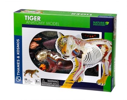 thames & Kosmos - Анатомия на тигър
