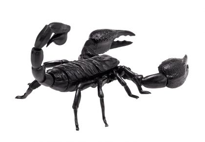 Thames & Kosmos 3D пъзел на Императорски Скорпион