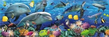 anatolian, пъзел, пъзели, puzzle, puzzles, забавен, забавни, подводен свят, под водата, океан, море, морски свят, пейзаж, игра, игри, играчка, играчки