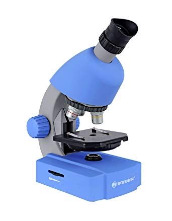 Levenhuk, микроскоп, микроскоп за наблюдение, наблюдение, микроскоп за изследване, биологичен микроскоп, изследване, микроскоп за ученици, ученици, училище, биология 