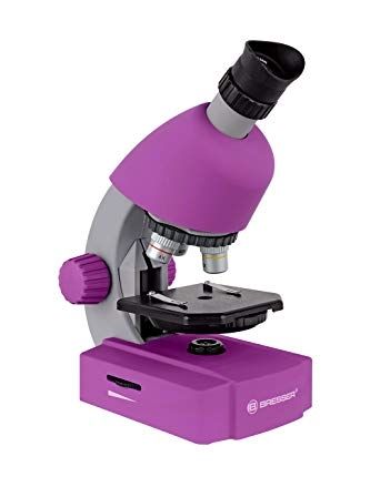 Levenhuk, микроскоп за наблюдение, микроскоп за изследване, ученически микроскоп, микроскоп, микроскоп за ученици, училище, ученик, ученици, биология 