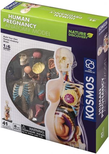 Thames & Kosmos, Образователен комплект, Наука за природата, Анатомия на човешка бременност, човешка анатомия, анатомия на човека, човешка бременност, анатомия на бременна жена, анатомия, наука