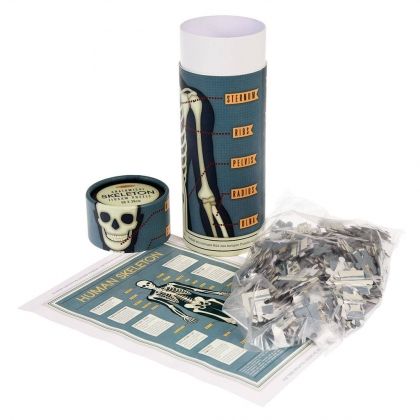 Rex London, Пъзел в тубос, анатомичен скелет, скелет, детски пъзел, подреждане на пъзел, пъзел, пъзели, puzzle, puzzles