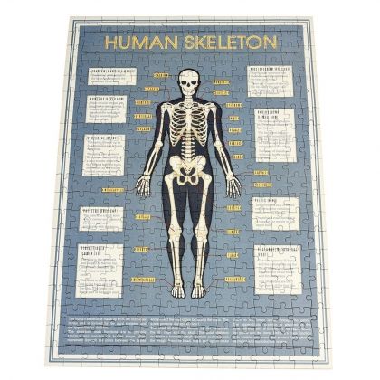 Rex London, Пъзел в тубос, анатомичен скелет, скелет, детски пъзел, подреждане на пъзел, пъзел, пъзели, puzzle, puzzles