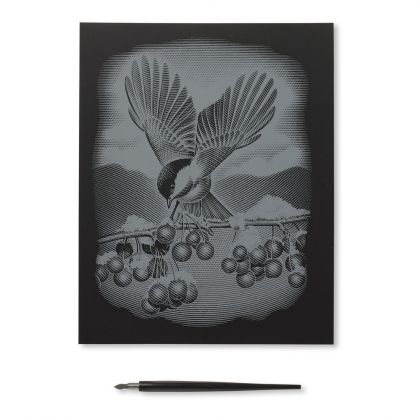 Reeves, творчески комплект за гравиране, птица, гравиране, метална плочка за гравиране