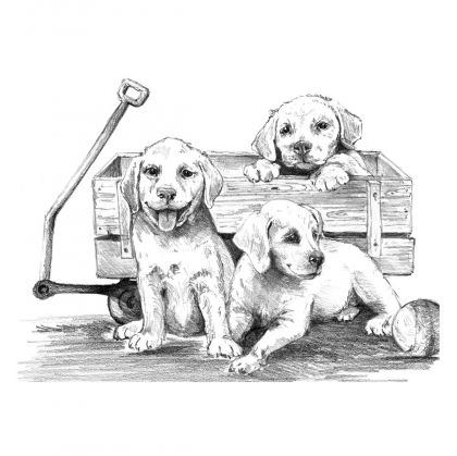 Royal&Langnickel, творчески комплект за графика, кученца в количка, рисунка, творчество с моливи, графика 