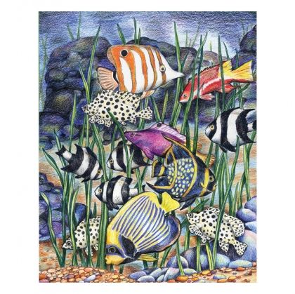Royal&Langnickel, творчески комплект за оцветяване по номера, тропически риби, рисуване, творчество с моливи, молив, моливи 