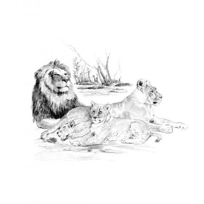 Royal&Langnickel, творчески комплект за графика, лъвове, молив, моливи, рисуване с моливи, рисуване 