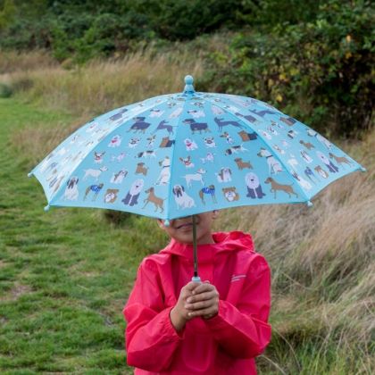 Rex London - Детски чадър - Най-добрият в шоуто