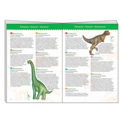 Djeco - Детски пъзел за наблюдателност - Динозаврите