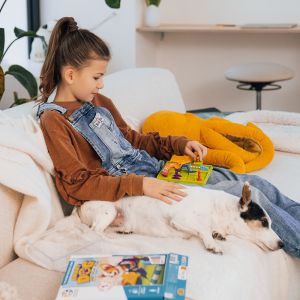 Логическа игра умно куче - Smart Games