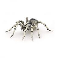 Papo - Фигурка за колекциониране и игра - Бразилска бяла тарантула