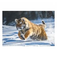 Авис - Пъзел - Тигър в снега - 200 части
