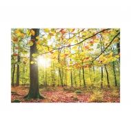Авис - Пъзел - Есенни листа - 1000 части