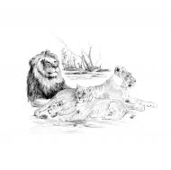 Royal&Langnickel - Творчески комплект за графика - Лъвове