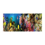 Авис - Панорамен пъзел - Морски корали - 1000 части 