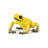 Papo - Фигурка за колекциониране и игра - Жълта жаба