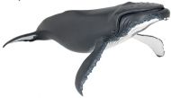 Papo - Фигурка за колекциониране и игра - Гърбат кит